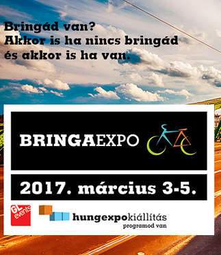 bringaexpo2017