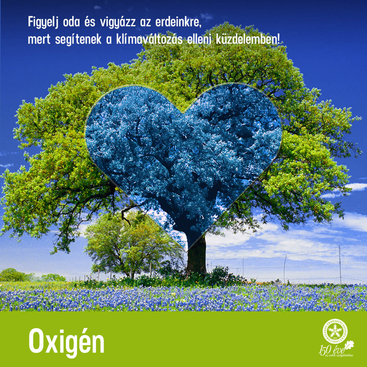 6 oxigen